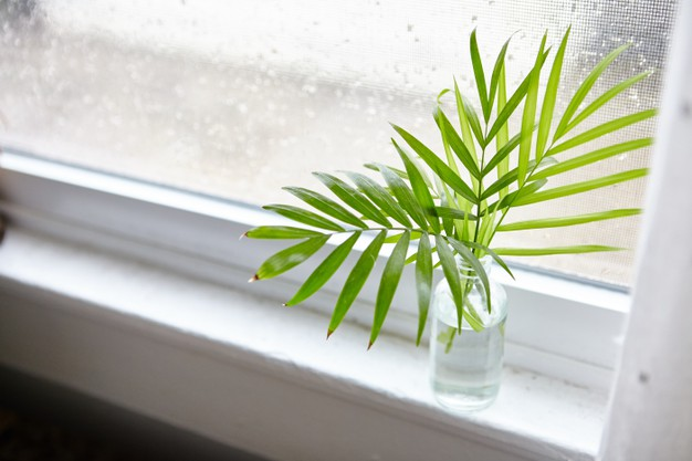 Why Window Sills Are Quite Important?